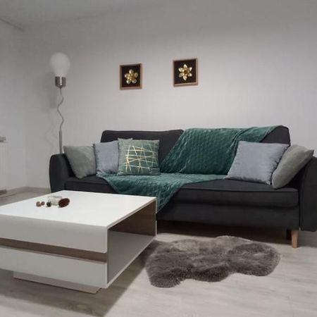 City View Kanonierska - Przy Parku Blisko Centrum Swidnica  Ngoại thất bức ảnh