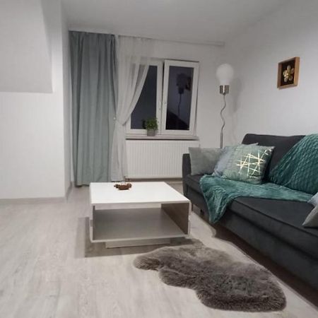 City View Kanonierska - Przy Parku Blisko Centrum Swidnica  Ngoại thất bức ảnh